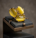 Anelli Anello Regolabile in Bronzo Dorato con Occhio di Gatto Giallo - Handmade Made in Italy